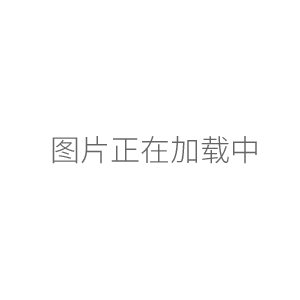 大龍TopPette 8道手動(dòng)可調(diào)移液器移液槍